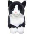 Faithful Friends - Soft Toy Cats