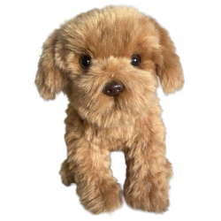 Faithful Friends - Cavapoo Toy Dog Faithful Friends - Cavapoo Toy Dog