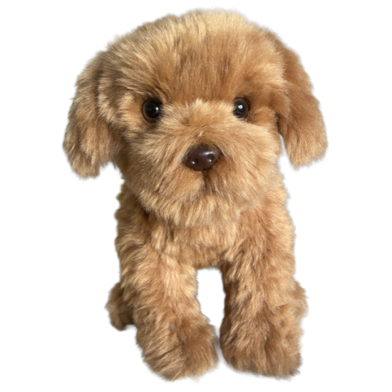 Faithful Friends - Cavapoo Toy Dog Faithful Friends - Cavapoo Toy Dog